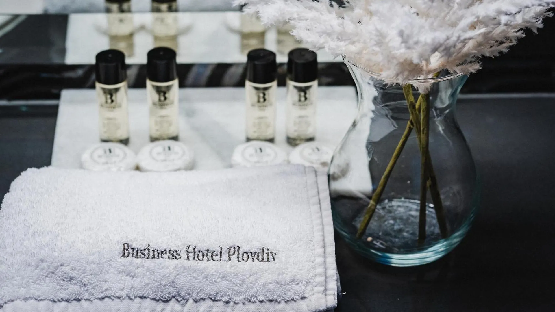 Business Hotel Plovdiv - Central Location