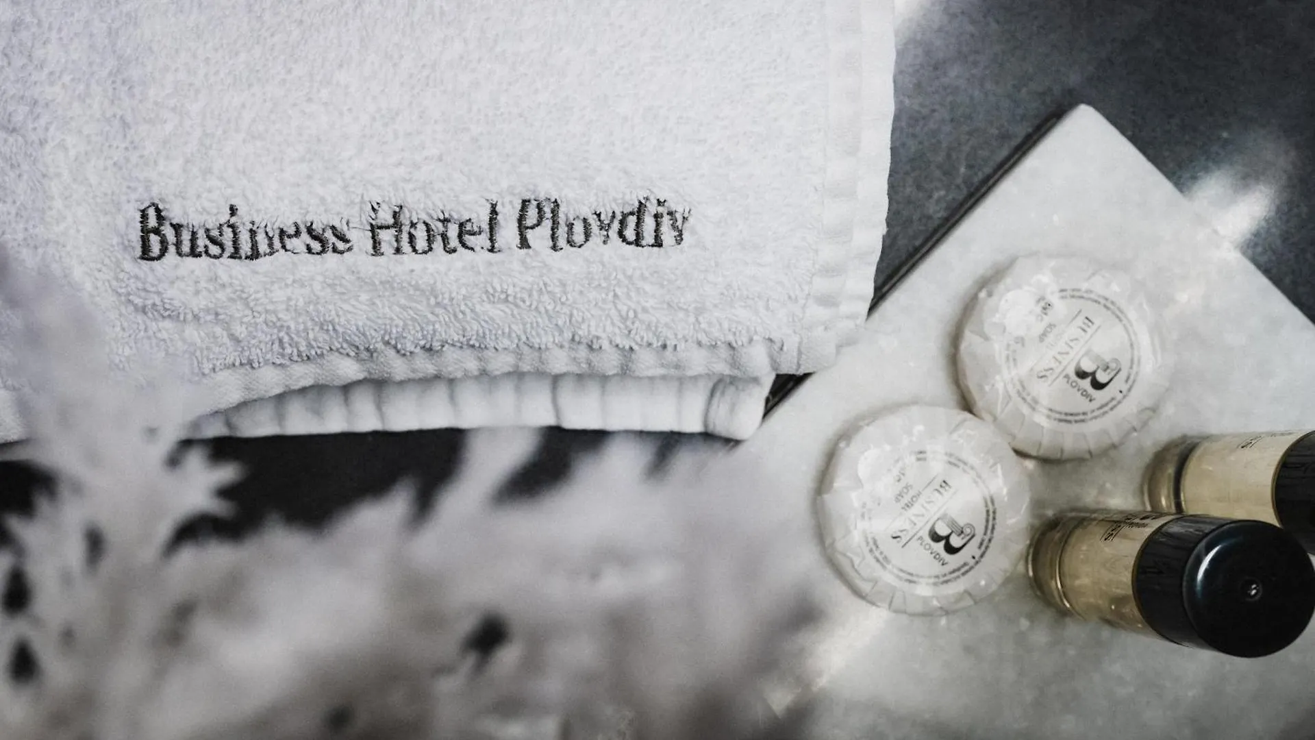 Business Hotel Plovdiv - Central Location