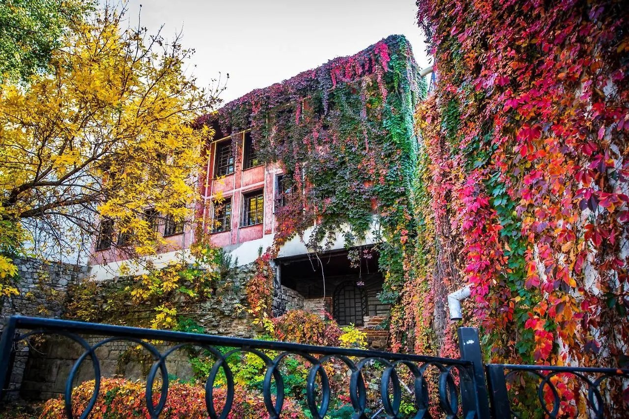 Business Hotel Plovdiv - Central Location 3*,